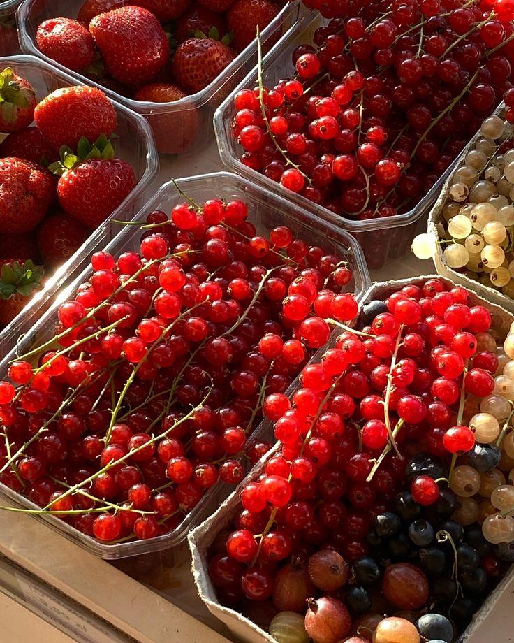 Berry Bounty: Freshness in Every Basket